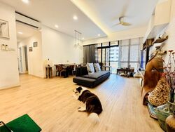 Dover Parkview (D5), Condominium #497929291